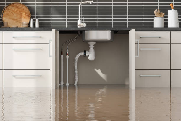 Best Water damage restoration insurance claims  in USA